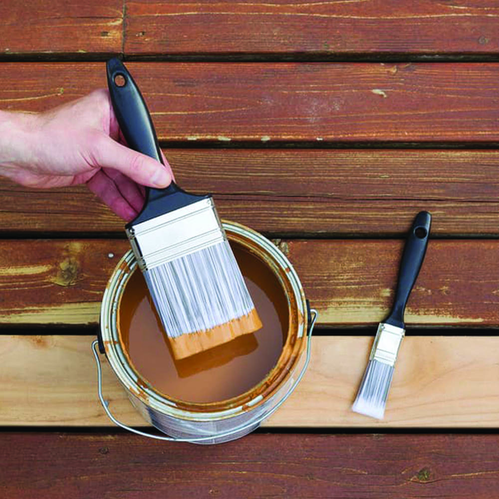 staining services